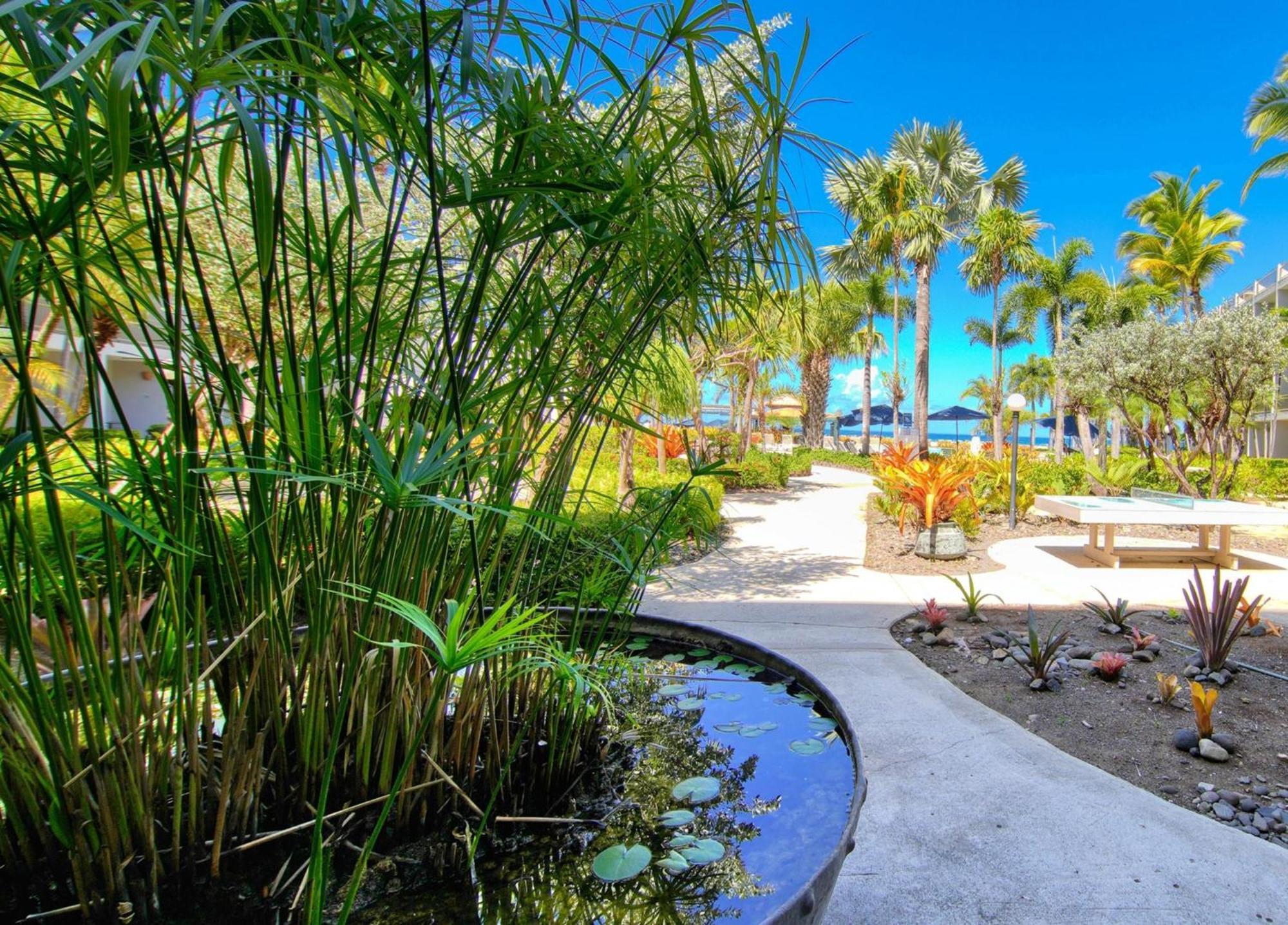 Rincon Of The Seas Grand Caribbean Hotel Экстерьер фото